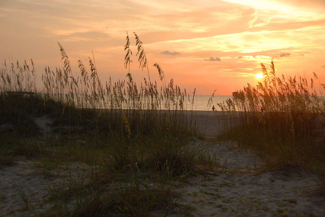 5-Day Tybee Island Adventure